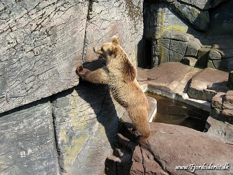 KBH zoo 190703 250.JPG